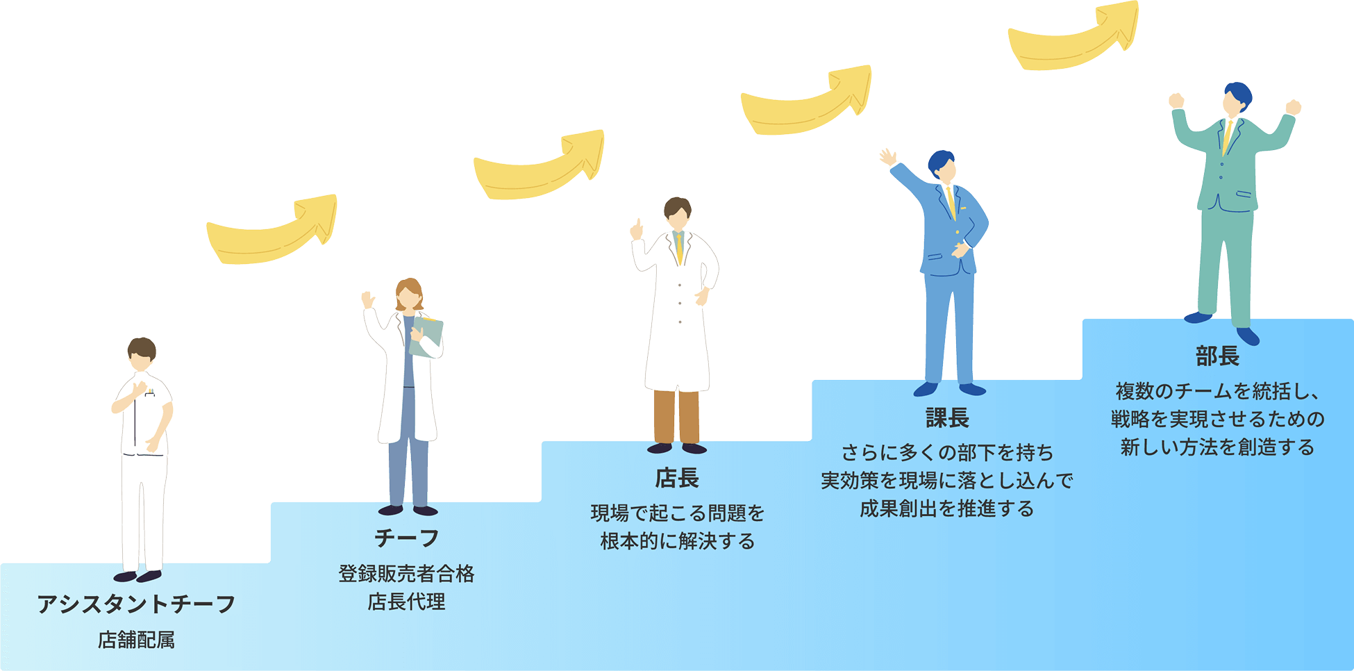 アシスタントチーフ：店舗配属→チーフ：登録販売者合格,店長代理→店長：現場で起こる問題を根本的に解決する→課長：さらに多くの部下を持ち実効策を現場に落とし込んで成果創出を推進する→部長：複数のチームを統括し、戦略を実現させるための新しい方法を創造する